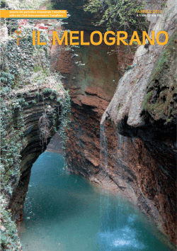 Melograno aprile 2014