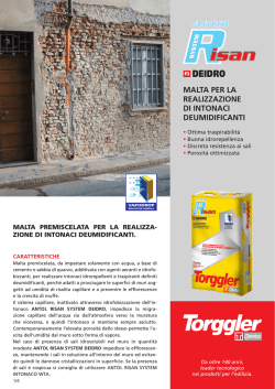 ANTOL RISAN SYSTEM DEIDRO (it)