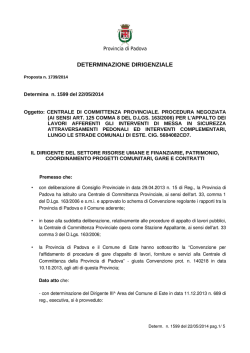 DETERMINAZIONE DIRIGENZIALE