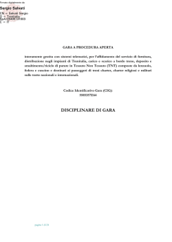 disciplinare di gara ( 317 KB )