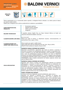 OPALITH PLUS - Baldini Vernici