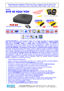 DVR 40 H264 WSH