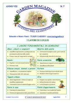 ANNO VIII N. 7 I LAVORI DI LUGLIO