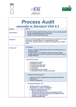 process audit vda 6.3 - Cubo Società di Consulenza Aziendale
