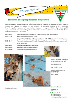 1st Italian SERC day