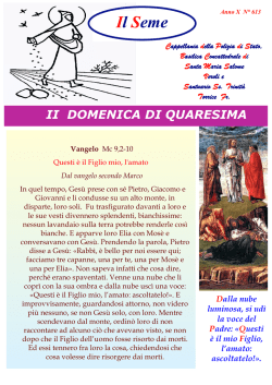 Il Seme - Basilicadisantamariasalome