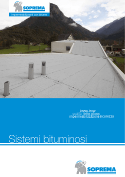 Listino prezzi 2015 BITUMEN (PDF)