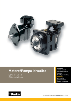 Motori Pompa idraulica serie F11-F12