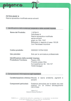 scheda sicurezza pdf