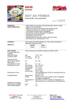 5007 (CONV.AK40) AK PRIMER 09.12