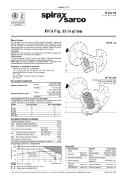 Filtri a Y Fig. 33 in ghisa