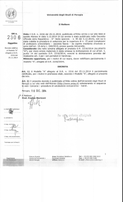 DR n. 2306 di parziale rettifica al Modello