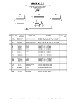Portraiture Richard Brilliant