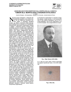 L E G A L I T &Agrave; &bull; S V I L U P P O &bull; L A V O R O