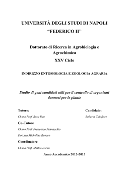 Elenco delle associazioni ed enti per la tutela degli animali iscritte