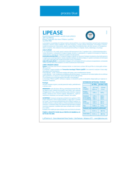 Luigi Franzese - WordPress.com