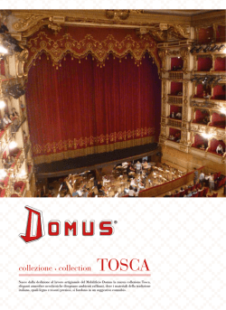 La scivolosa scarpata. Una serie di sfortunati eventi: 10