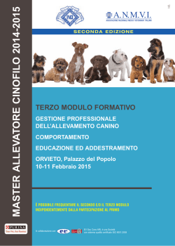 L`arte di lavorare in consapevolezza. Come vivere con gioia e