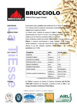 Il bastone dei miracoli