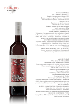 Scaricare il libro Iamblichus of Chalcis: The Letters