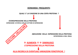 - F. De Filippis