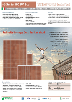 Determinazione Dirigenziale