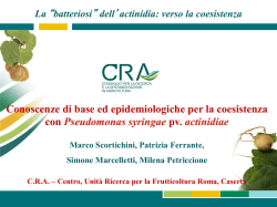 DOC230315 - cddeamicisct.gov.it
