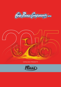 Determina di affidamento per accesso a bilancio web