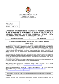 Sez. VI - Fornitura di ferro lavorato.