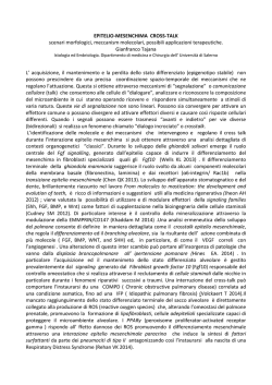 seminari 2015