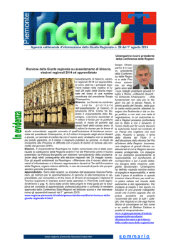 CHIAMPARINO_Pnews n. 29 del 1&deg; agosto 2014.pub