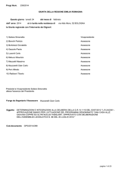 Testo della delibera