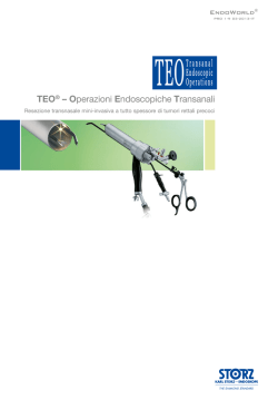 TEO&reg; &ndash; Operazioni Endoscopiche Transanali