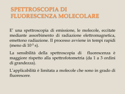 Spettroscopia di fluorescenza File - E