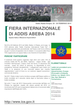 FIERA INTERNAZIONALE DI ADDIS ABEBA 2014