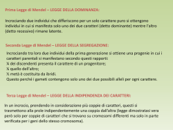 Scaricare - File PDF