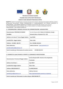 provincia di reggio calabria - bando di gara "strada pedemontana"