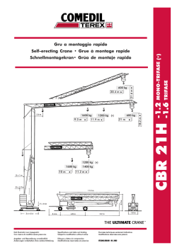 SCHEDA TECNICA GRU CBR 21 H1,6