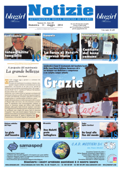 N. 18 del 4 maggio 2014