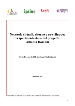 Network virtuali, ritorno e co-sviluppo: la sperimentazione