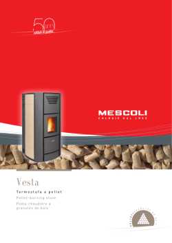 50caldaie di qualit&agrave; Termostufa a pellet Pellet-burning
