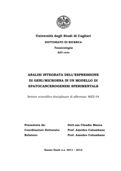 Università degli Studi di Cagliari ANALISI