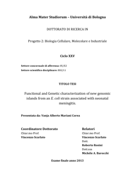 Alma Mater Studiorum &ndash; Universit&agrave; di Bologna Functional and