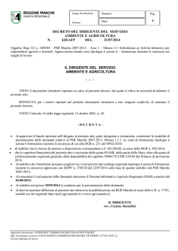 Documento - PSR 2007-2013