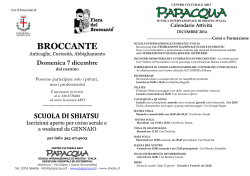 Il programma in pdf