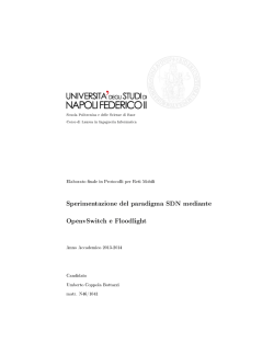 Elaborato Coppola Bottazzi Umberto N461041