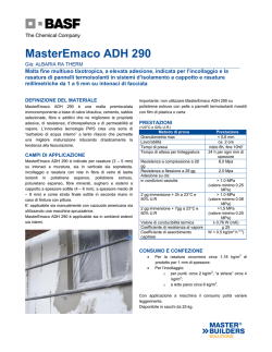 MasterEmaco ADH 290