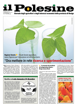 Ora mettere in rete ricerca e sperimentazione