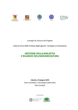 Contributi Scientifici della giornata