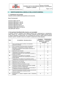 Scheda dati sicurezza e conformit&agrave; cemento comune